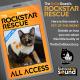 KCSN RockstarRescue PotW 100726 CreateOutlines r1 IG SQUARE 1080x1080
