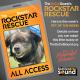 KCSN RockstarRescue PotW 122925 CreateOutlines IG SQUARE 1080x1080