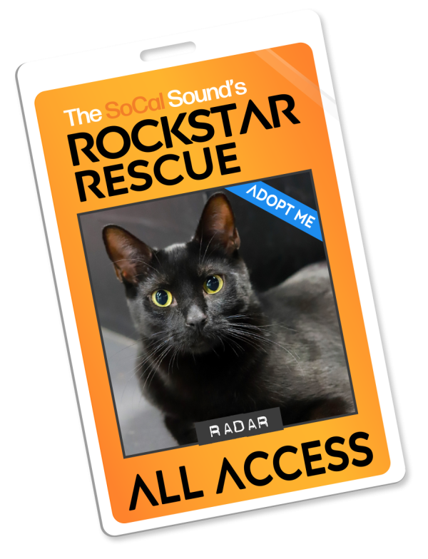 KCSN RockstarRescue PotW 042226 Pass