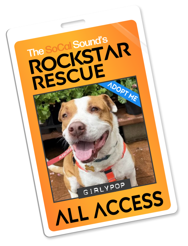 KCSN RockstarRescue PotW 050626 Pass