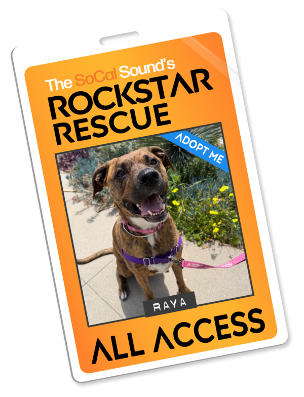 KCSN RockstarRescue PotW 051326 Pass
