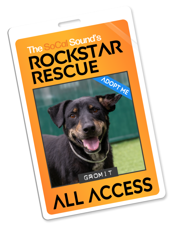KCSN RockstarRescue PotW 052726 Pass