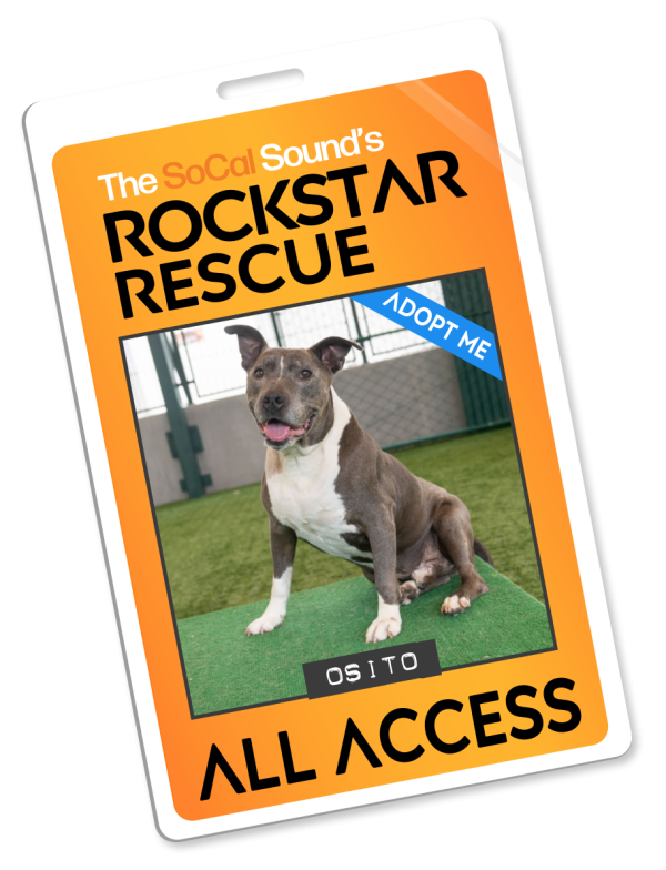 KCSN RockstarRescue PotW 080526 Pass