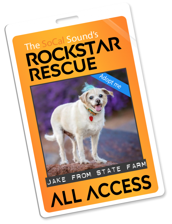 KCSN RockstarRescue PotW 091725 4 Pass4