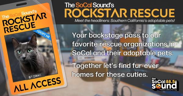 KCSN RockstarRescue PotW 042926 CreateOutlines FACEBOOK 1200x631