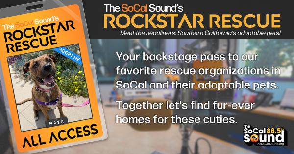 KCSN RockstarRescue PotW 051326 CreateOutlines FACEBOOK 1200x631