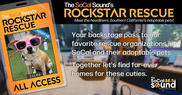 KCSN RockstarRescue PotW 060326 CreateOutlines FACEBOOK 1200x630