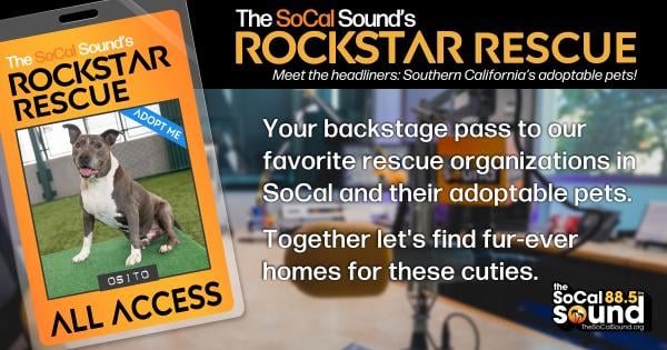 KCSN RockstarRescue PotW 080526 CreateOutlines FACEBOOK 1200x630