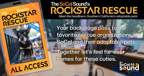 KCSN RockstarRescue PotW 082626 CreateOutlines FACEBOOK 1200x630