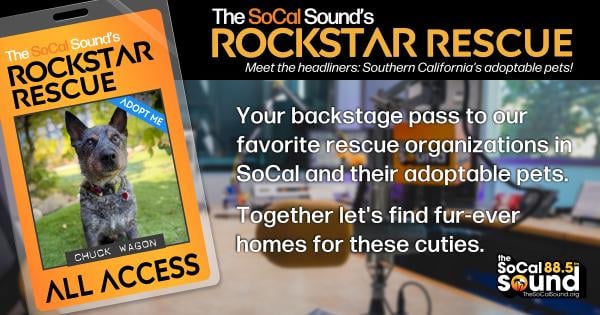 KCSN RockstarRescue PotW 090926 CreateOutlines FACEBOOK 1200x630