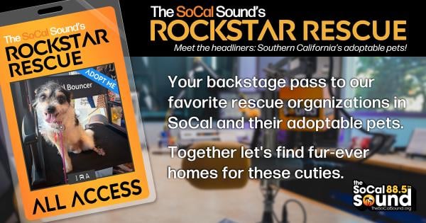 KCSN RockstarRescue PotW 091626 CreateOutlines FACEBOOK 1200x630