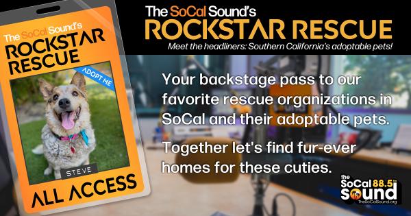 KCSN RockstarRescue PotW 093026 CreateOutlines FACEBOOK 1200x631