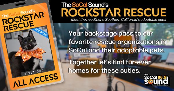 KCSN RockstarRescue PotW 102126 CreateOutlines FACEBOOK 1200x631