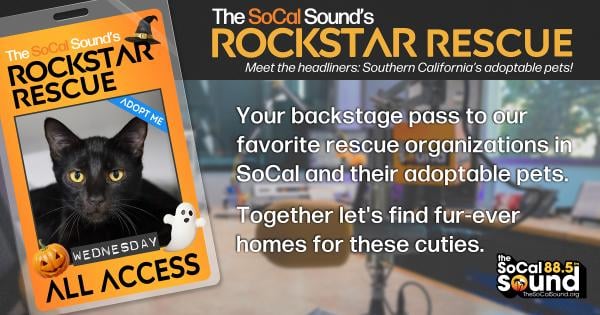 KCSN RockstarRescue PotW 102725 CreateOutlines FACEBOOK 1200x631