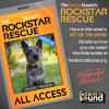 This little cattle dog is the bees knees - CHUCK WAGON - out PET OF THE WEEK!