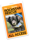 09.10: PET OF THE WEEK - DIVINE MISS M!