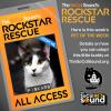 10.01: PET OF THE WEEK - FISKARS (from Tail Town cat rescue)!