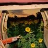 From Kansas City to Los Angeles - Kevin Morby takes us into "The Little Wide Open" - our 88-5 ALBUM DIVE!