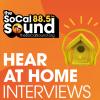 Hear At Home with Paul Banks of Interpol