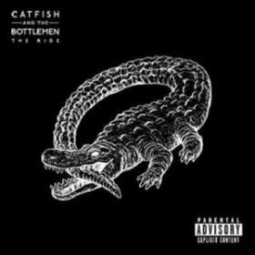Catfish and the Bottlemen, 