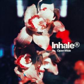 Inhaler, 